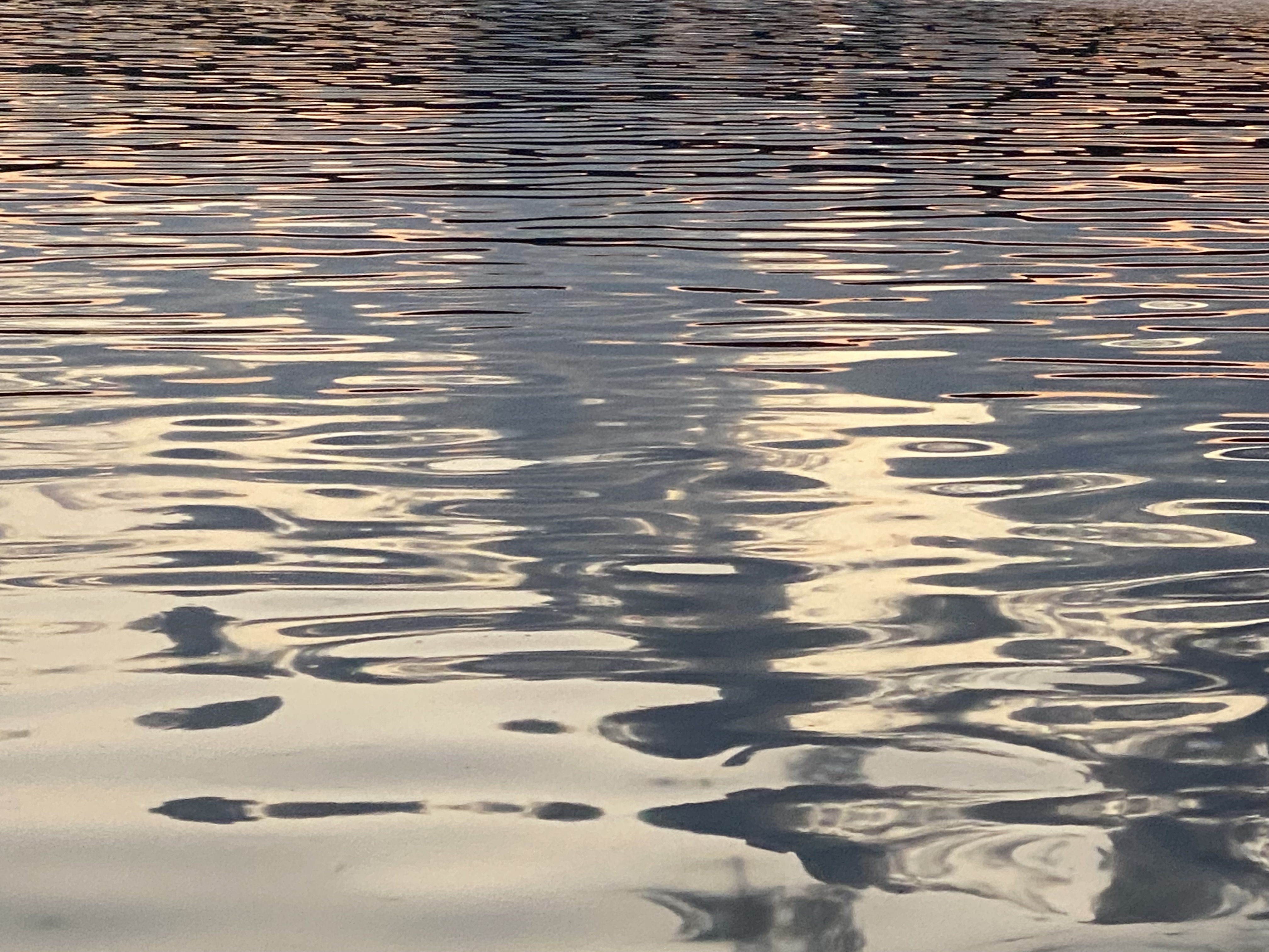 Sunset ripples on the lake surface
